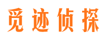 向阳侦探公司